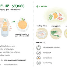Load image into Gallery viewer, Lucky Spot - Pop Up Sponge