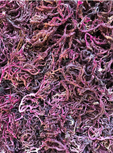 Load image into Gallery viewer, Plumpp Sea Moss