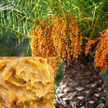 Load image into Gallery viewer, 100% Pure Unrefined Batana Oil