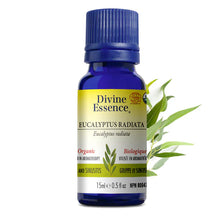 Load image into Gallery viewer, Organic Eucalyptus Radiata Oil by Divine Essence (15ml)