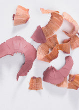 Load image into Gallery viewer, Lip Stick Pencil