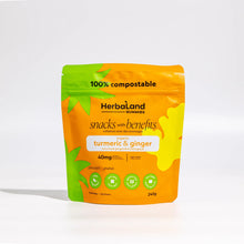 Load image into Gallery viewer, Herbaland Vegan Turmeric & Ginger Gummies
