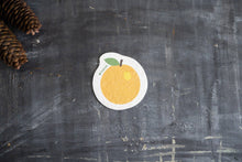 Load image into Gallery viewer, Orange - Pop-up Sponge