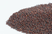 Load image into Gallery viewer, Mumm's Kale Sprouting Seeds