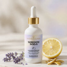Load image into Gallery viewer, Shroom Soda by Ananda Elixirs