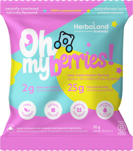 Load image into Gallery viewer, Healthy Gummy Bears