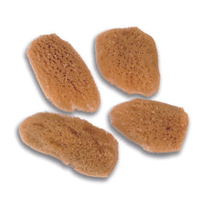 Load image into Gallery viewer, The Fabulous Face Sea Sponges