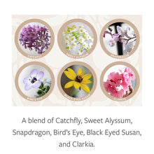 Load image into Gallery viewer, Birthday Plantable Cards