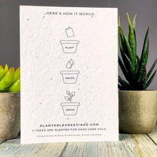 Load image into Gallery viewer, Birthday Plantable Cards