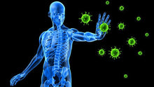 Load image into Gallery viewer, Immune Boost Pure Essential Oil Blend