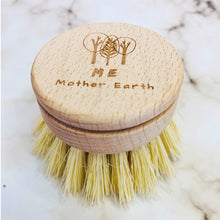 Load image into Gallery viewer, Replacement Head For Dish Brush