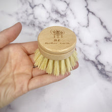 Load image into Gallery viewer, Replacement Head For Dish Brush