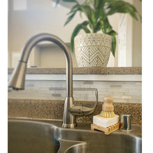 Load image into Gallery viewer, Sisal Hand Brush- Multipurpose