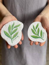 Load image into Gallery viewer, Eucalyptus - Pop up Sponge
