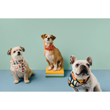 Load image into Gallery viewer, Be Here Now - Set of 2 Dog Bandanas
