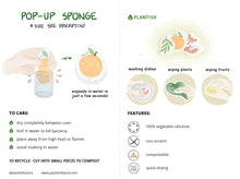 Load image into Gallery viewer, Set of 3 Bestselling Pop up Sponge
