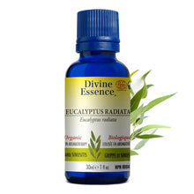 Load image into Gallery viewer, Organic Eucalyptus Radiata Oil by Divine Essence (15ml)
