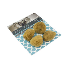 Load image into Gallery viewer, The Fabulous Face Sea Sponges
