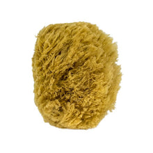 Load image into Gallery viewer, The All Natural Sea Sponge
