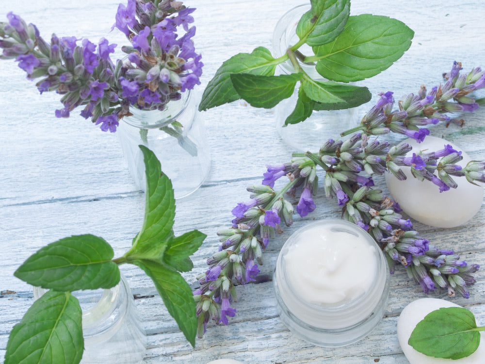 Lavender Mint Face & Body Lotion (10g)